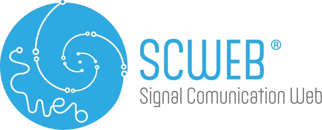 Swiss SCWeb AG